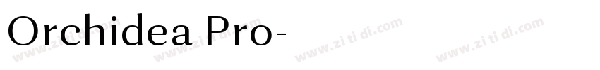 Orchidea Pro字体转换